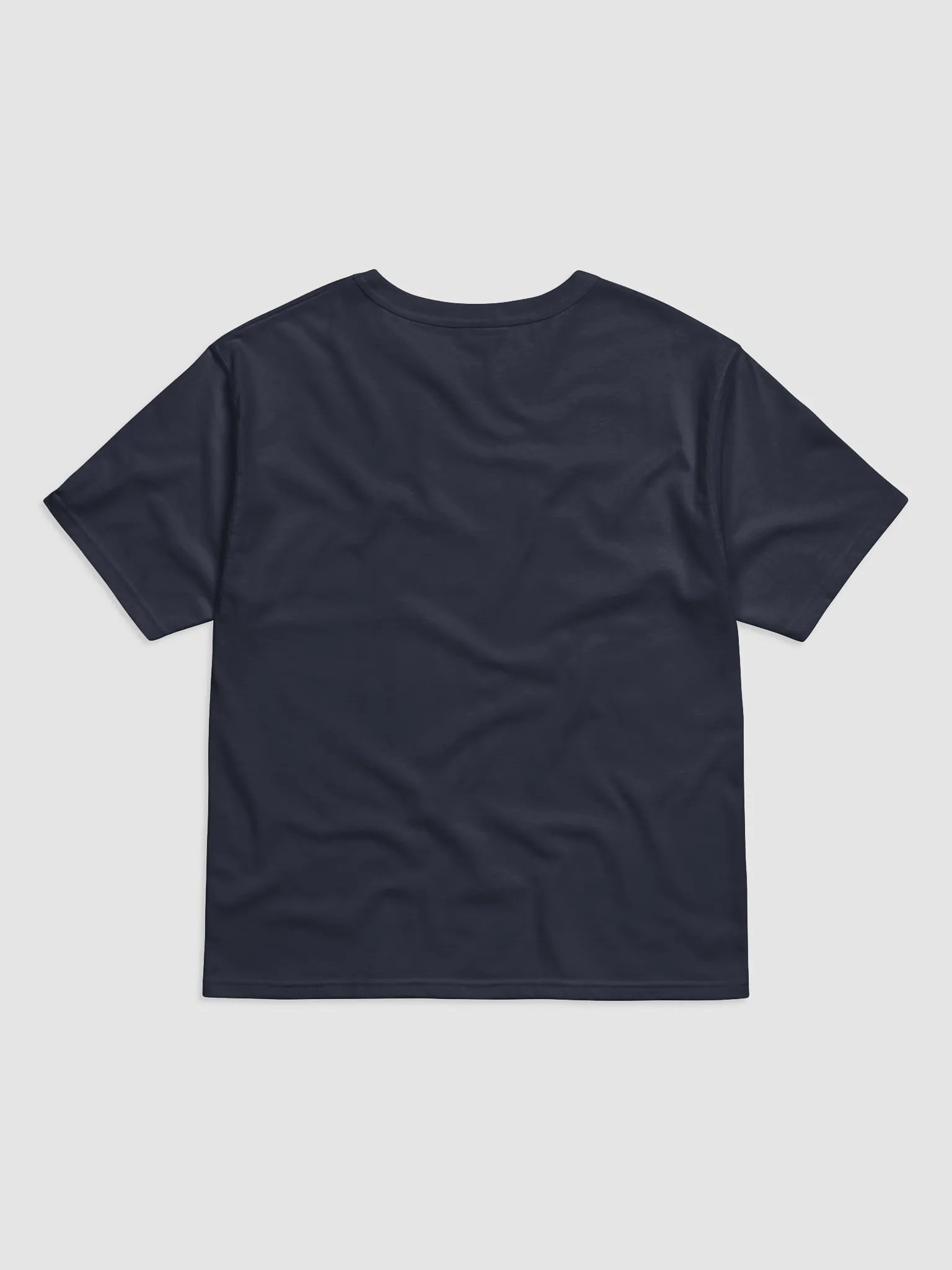 World Champion of Nonsense T-Shirt product image (5)