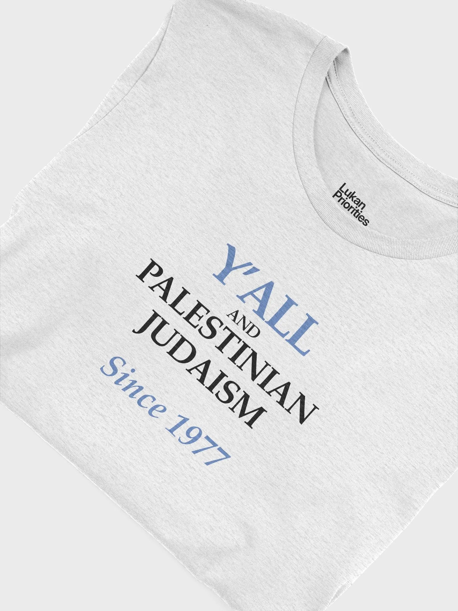 Y'all and Palestinian Judaism Light Mode Tee product image (22)