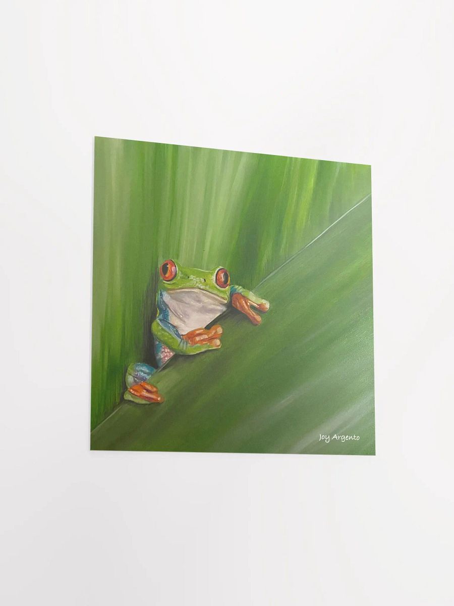 Tree Frog Peeping Print product image (4)