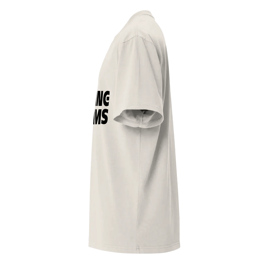 Chasing Dreams Premium Oversized Faded T-Shirt (black logo) product image (5)