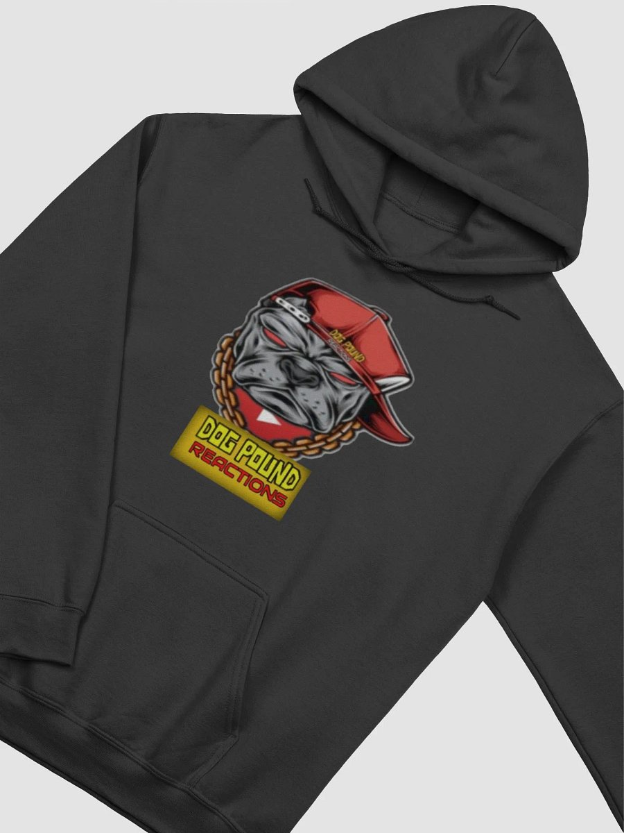 DPR Hoodie product image (3)
