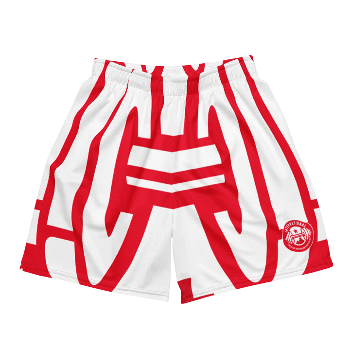 IFBNewsfeed.Org's All-Over Print Recycled Unisex Mesh Shorts product image (2)