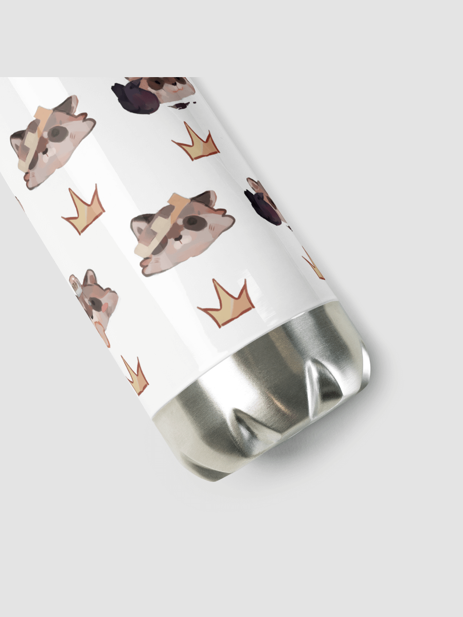 Stainless Steel Water Bottle product image (9)