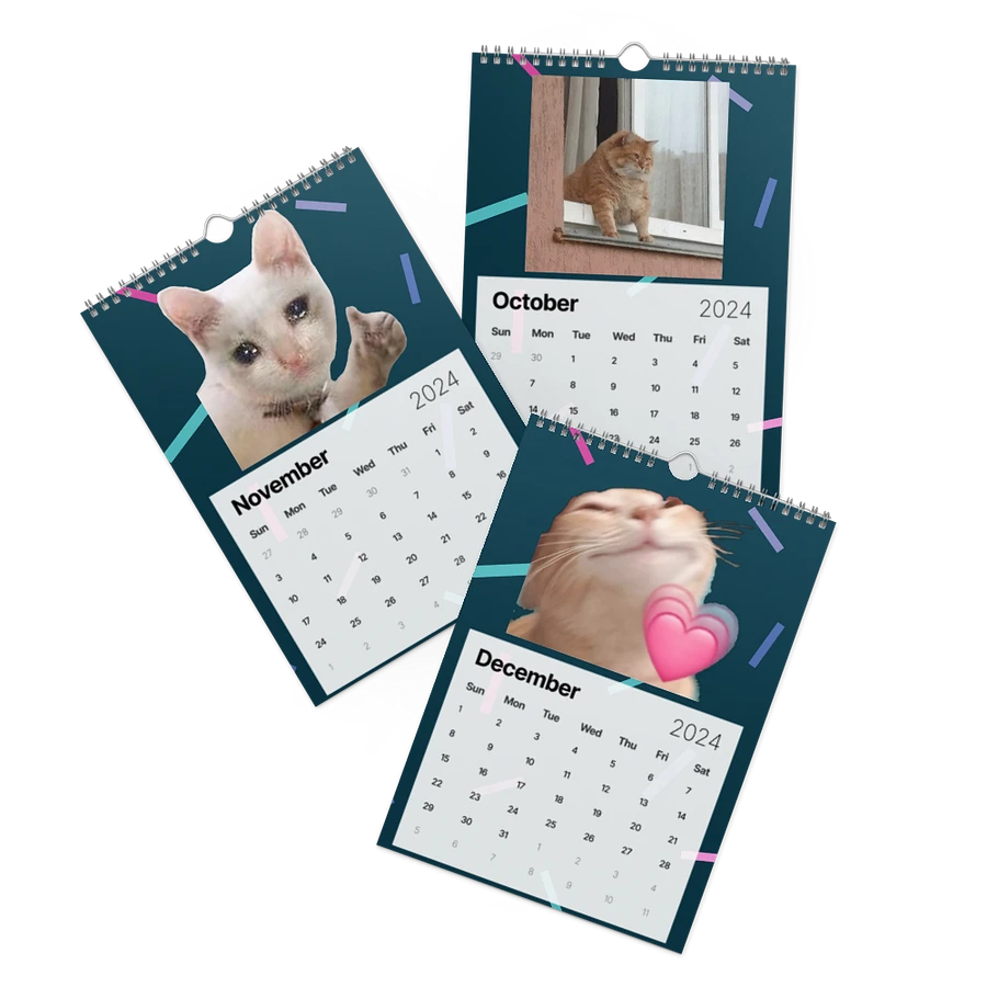 Wall Calendar (2024): Meme Cats product image (17)