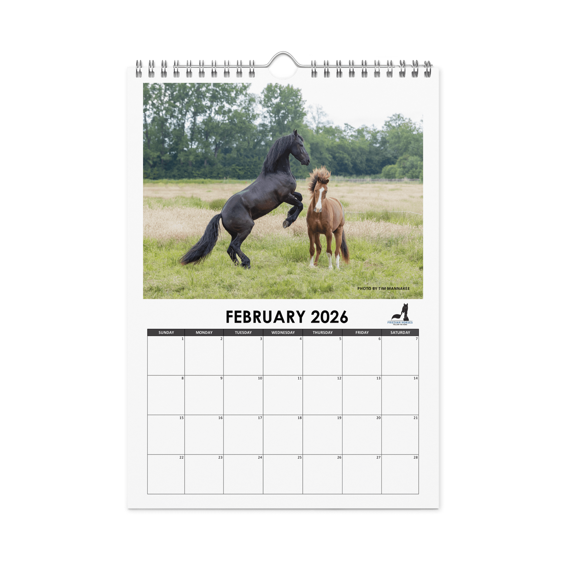 Friesian horses 2026 Wall Calendar product image (5)