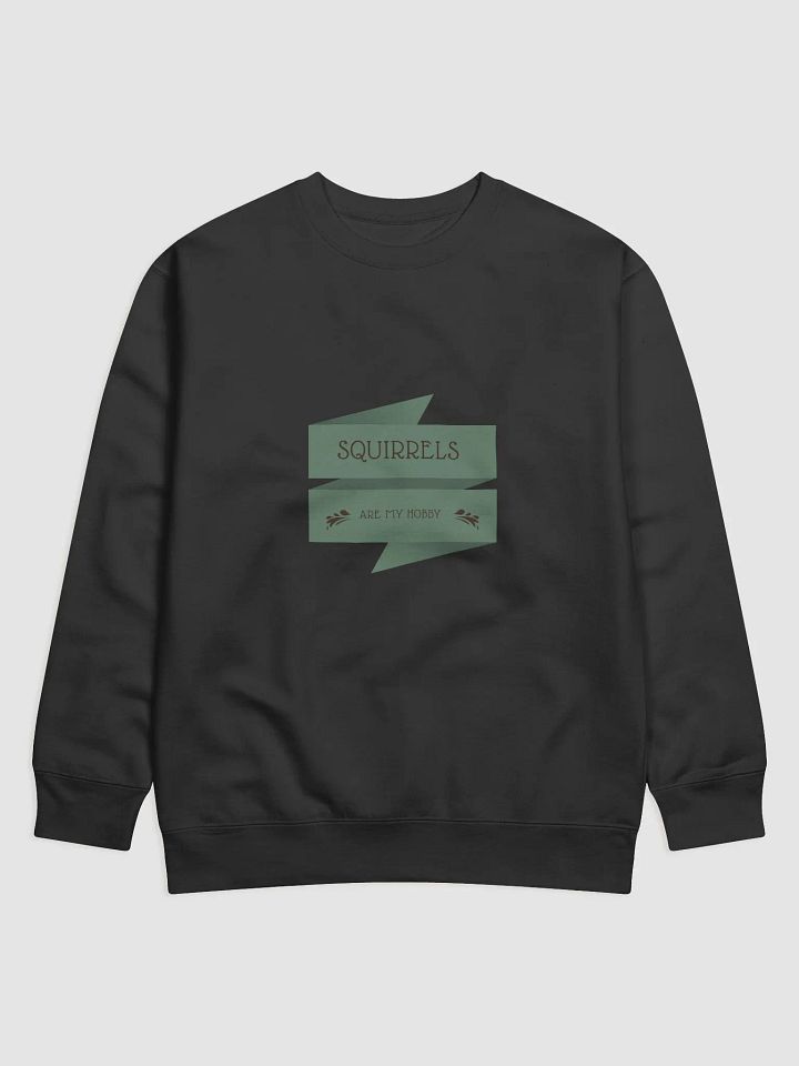 SQUIRRELS ARE MY HOBBY Premium Sweatshirt product image (1)