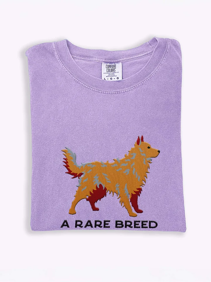 A Rare Breed T-Shirt(Embroidered) of a Hungarian Mudi(Tan) product image (1)