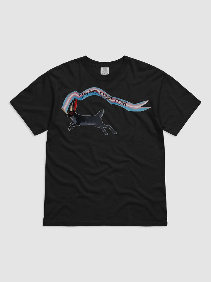 Stay queer strike fear - Trans Lou shirt product image (1)