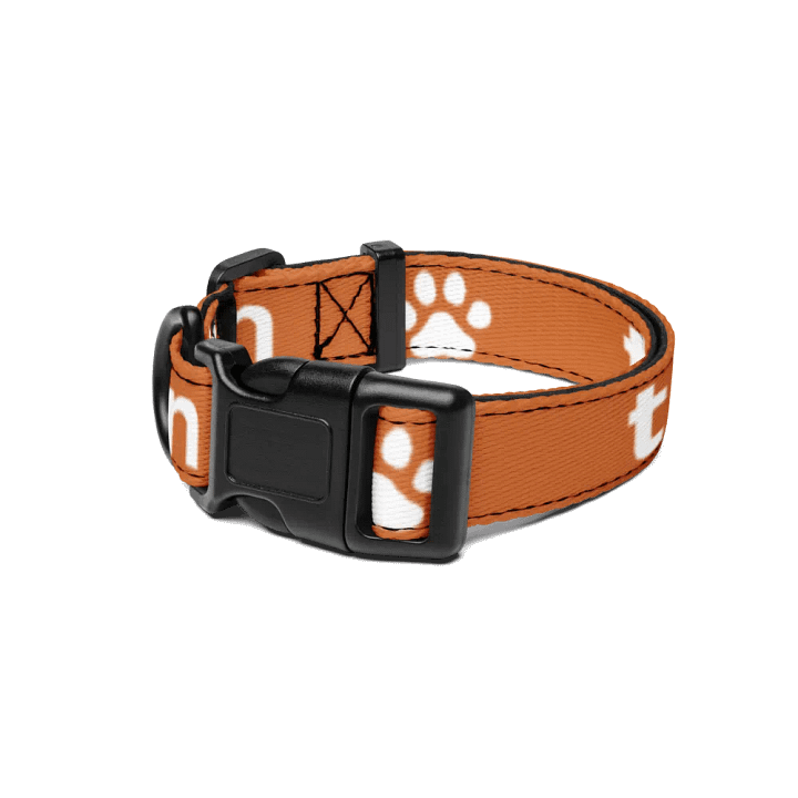 BEST FRIEND PET COLLAR product image (1)