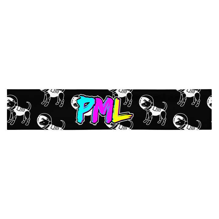 PML Headband - Space Dog product image (1)