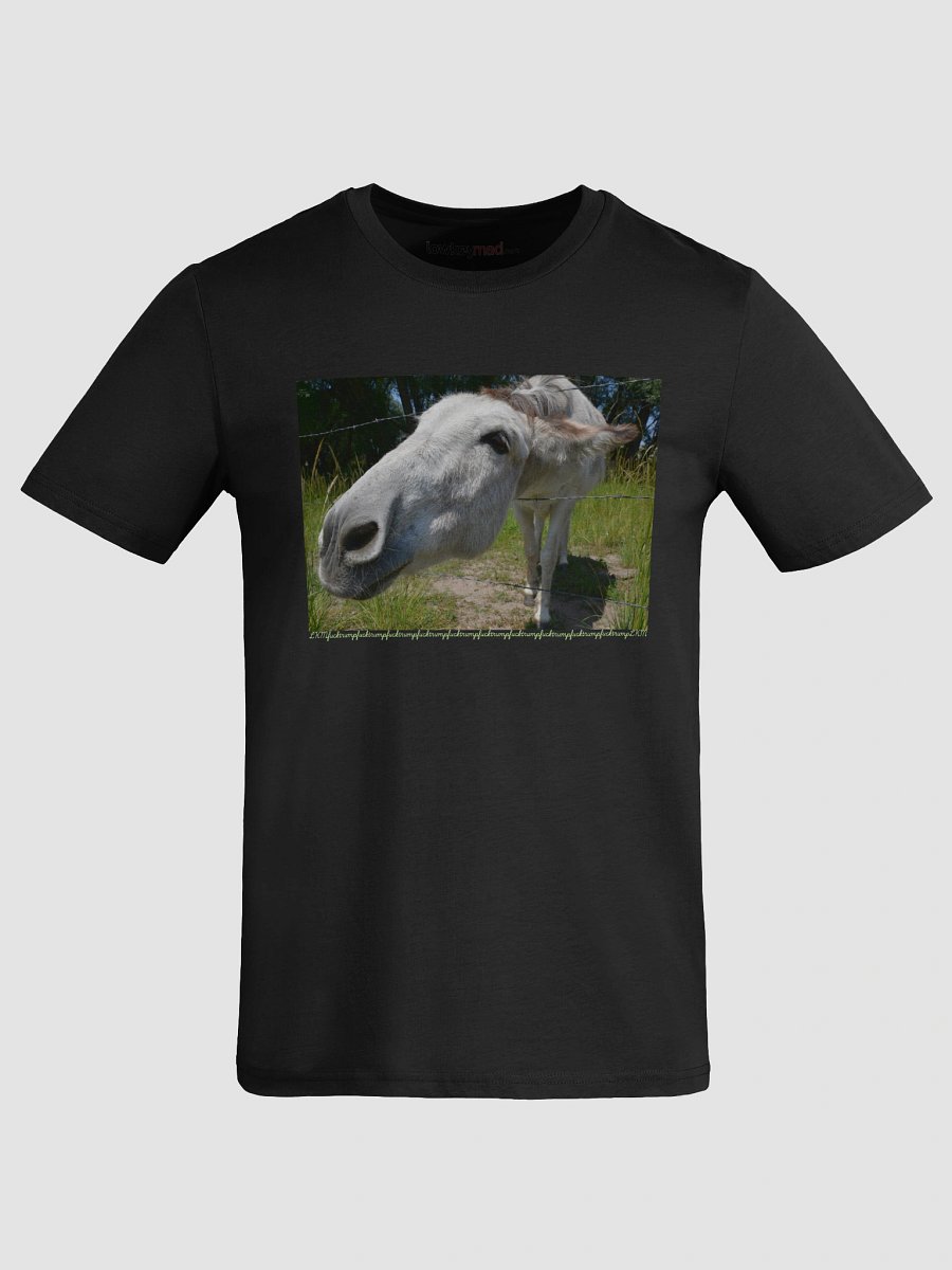 Donkey Says FT LKM Organic Tee product image (4)