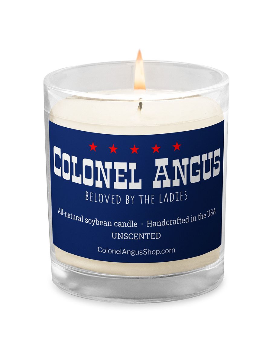 Unscented candle funny gift product image (3)