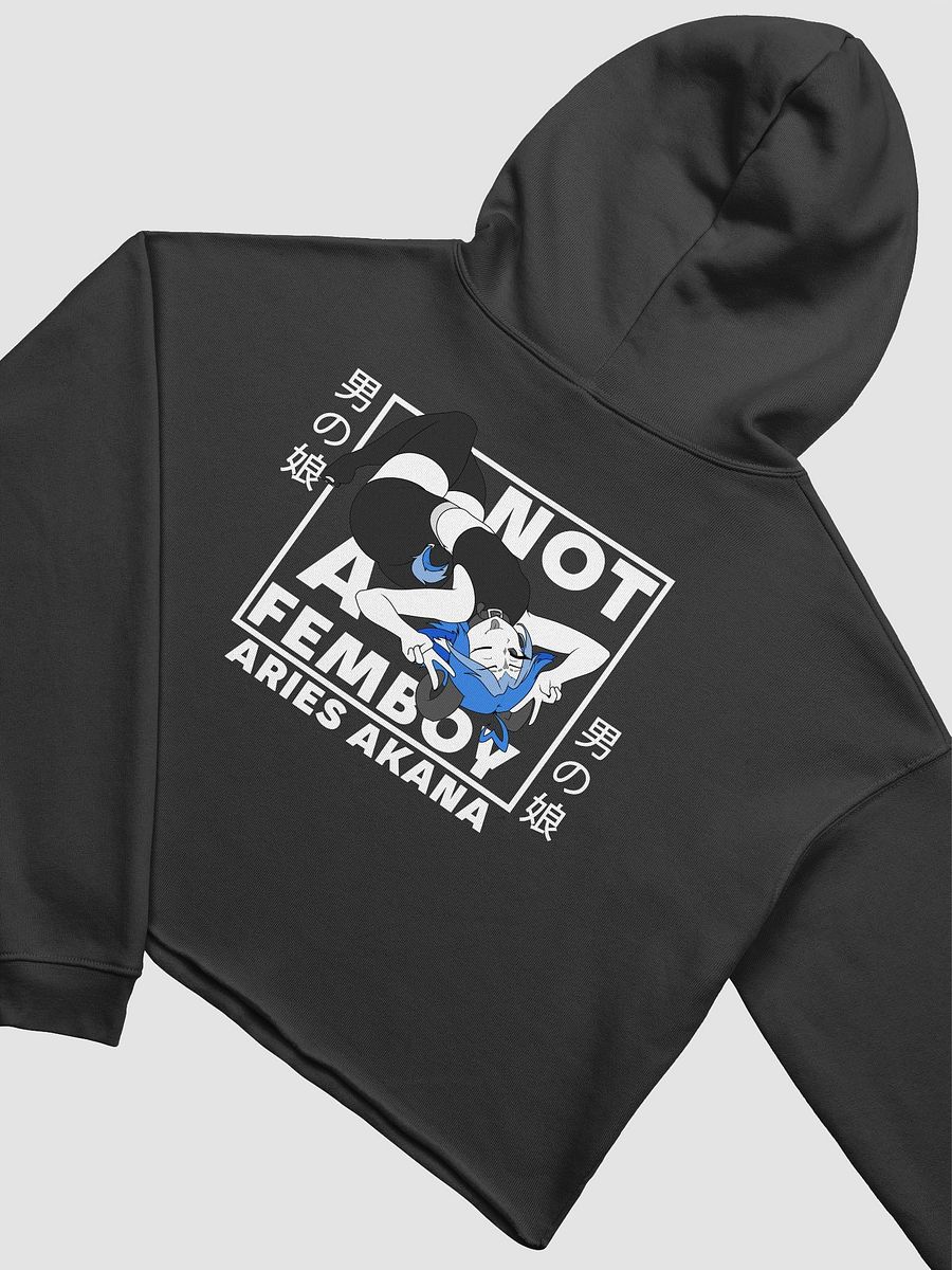 Not-A-Femboy Cropped Hoodie product image (3)