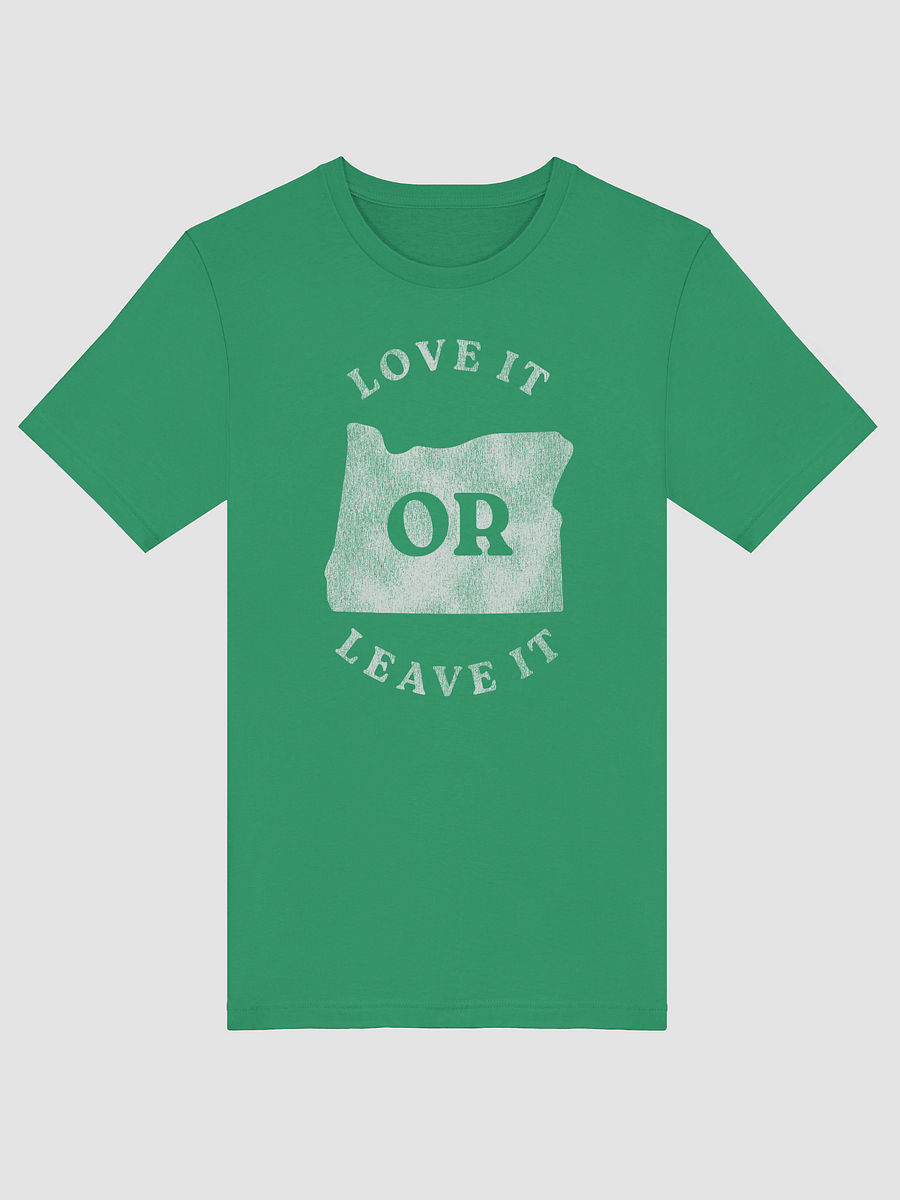 Love it OR Leave it T-shirt product image (25)