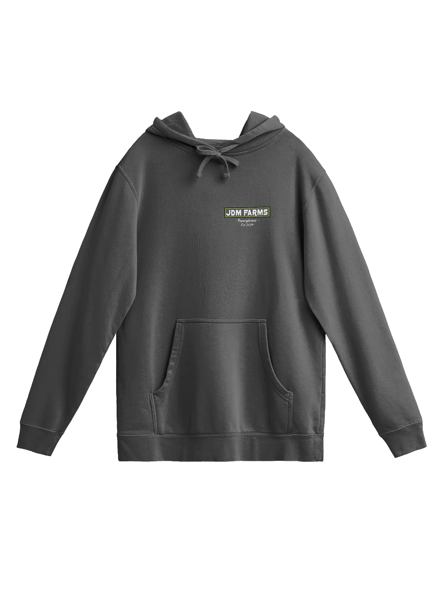 Chicago Vintage Hoodie product image (1)