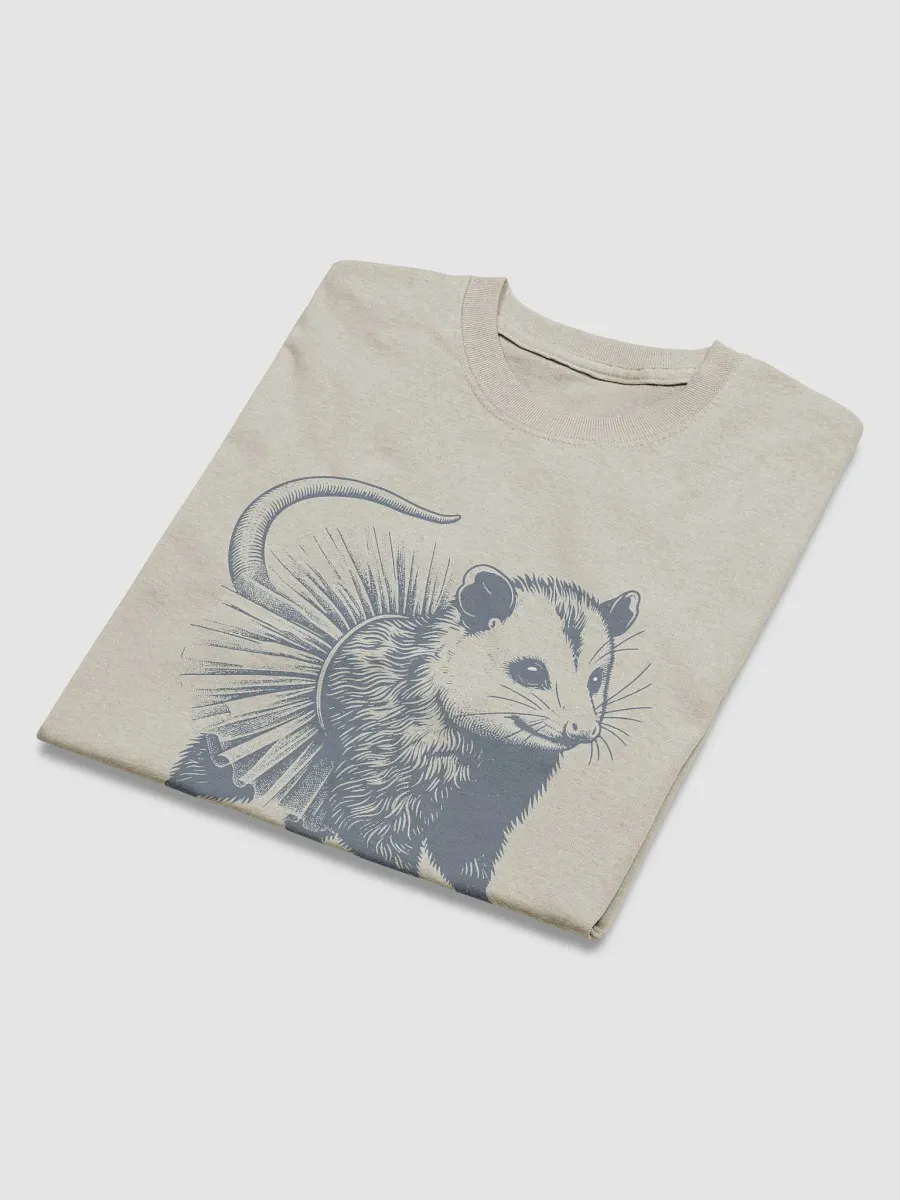 Opossum In Tutu Streetwear Tee product image (4)