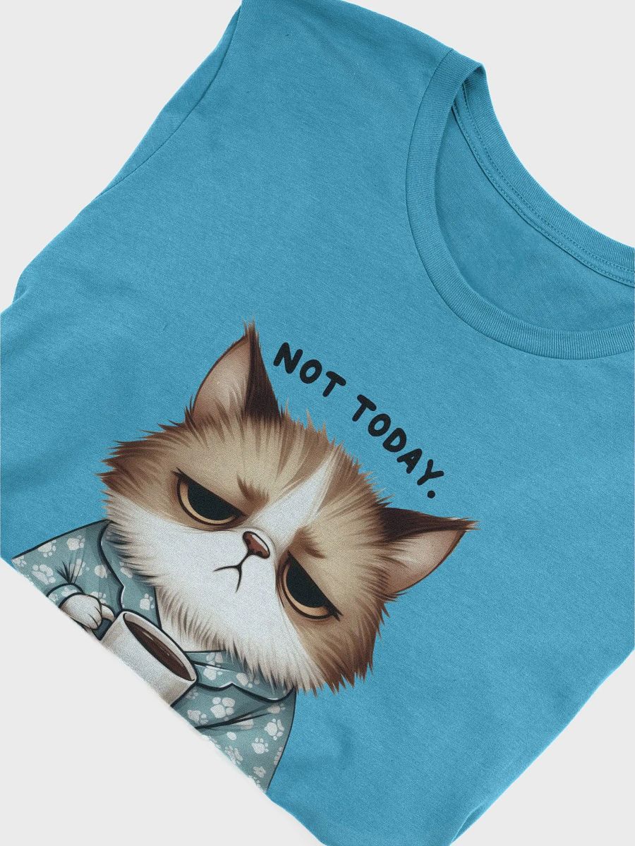 Not Today Human - Grumpy Cat Coffee T-Shirt product image (110)