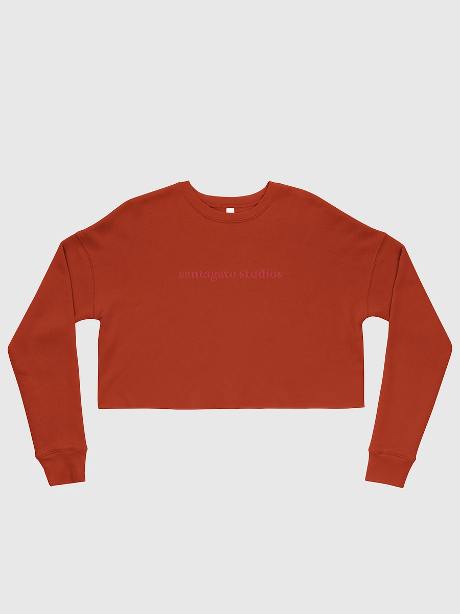 Fleece Crop Sweater (Brick) product image (2)