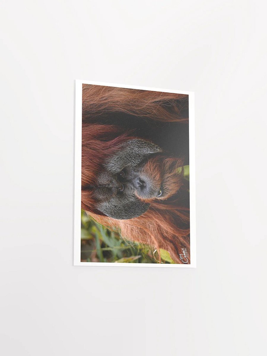 Graceful - Print product image (3)