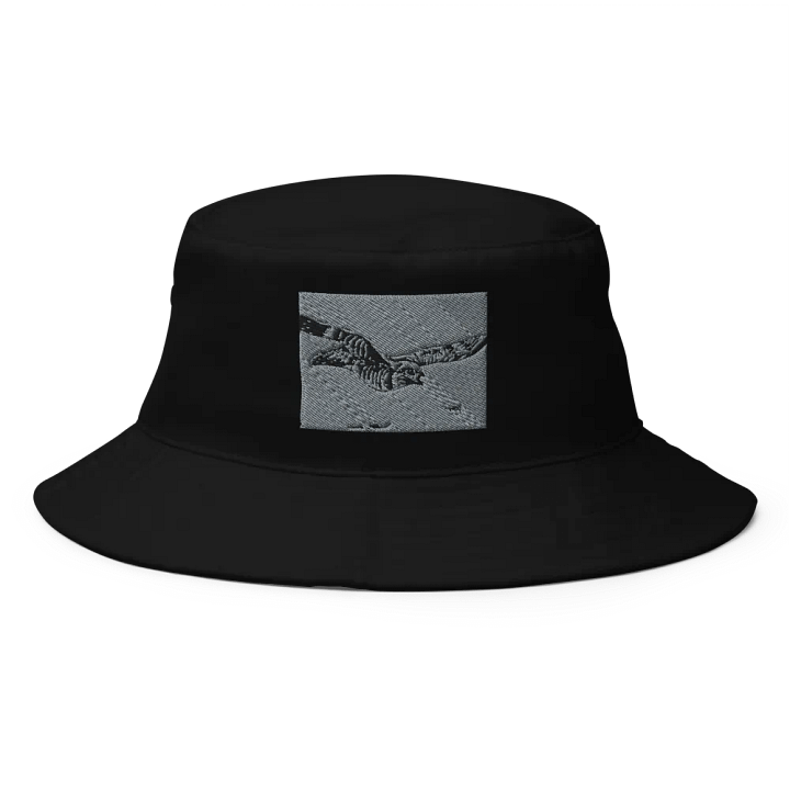 RareBird WOW Fashion by Rachel Walker product image (1)
