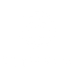 Crypto Geek