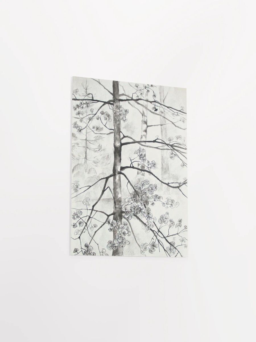 Young Pine Tree Sketch Poster - Young Pine Tree product image (3)
