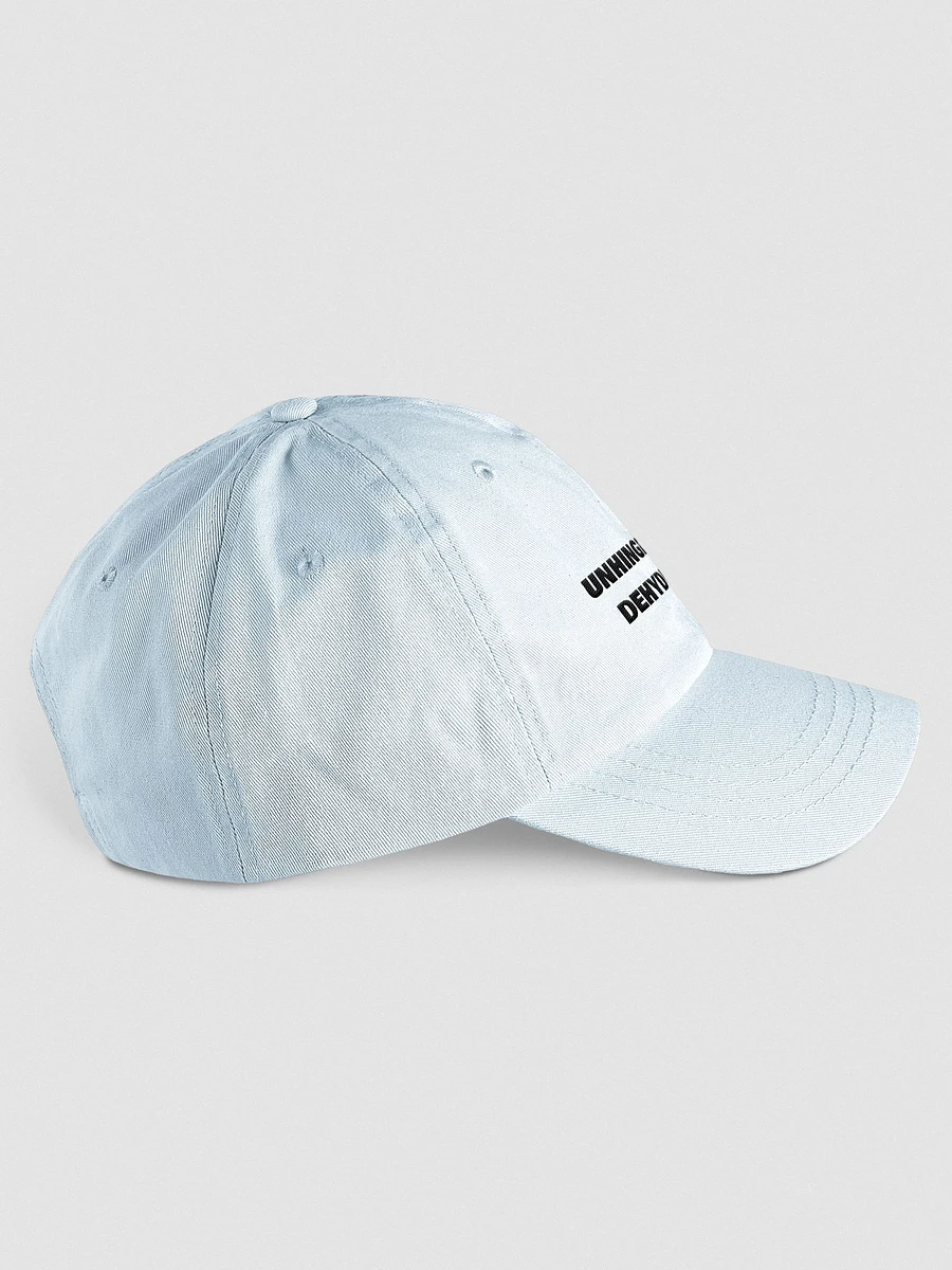Unhinged & Dehydrated Embroidered Hat product image (16)