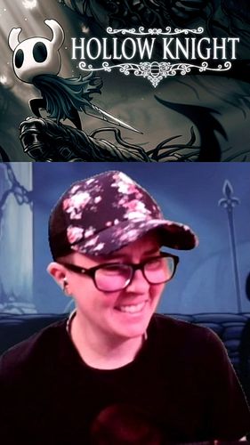 Hollow Knight so far: Huggie Buddy, Pointy Buddy, Big Boy, and Sky Chicken (not featured)

#hollowknight #twitch #firstplayth...