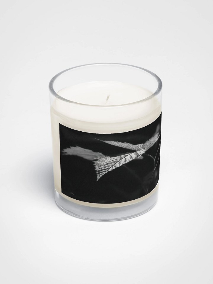 Sunlight on a Salmonberry Leaf Soy Wax Candle product image (2)