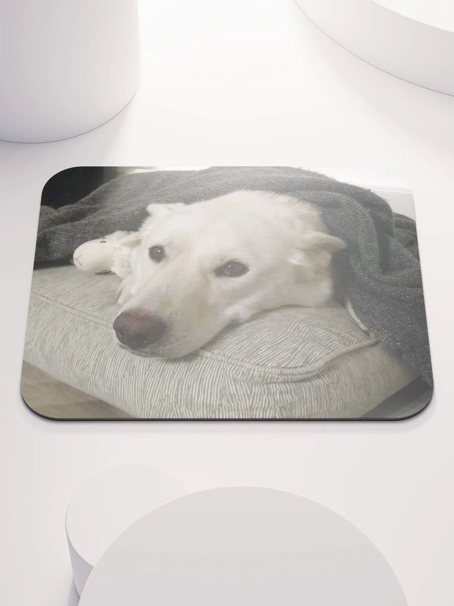 blanket boy product image (3)