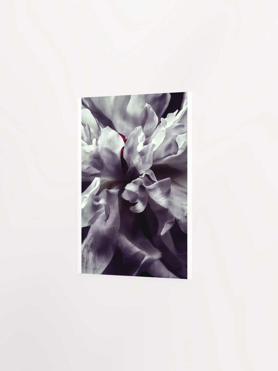 Peony Heart - Print product image (3)
