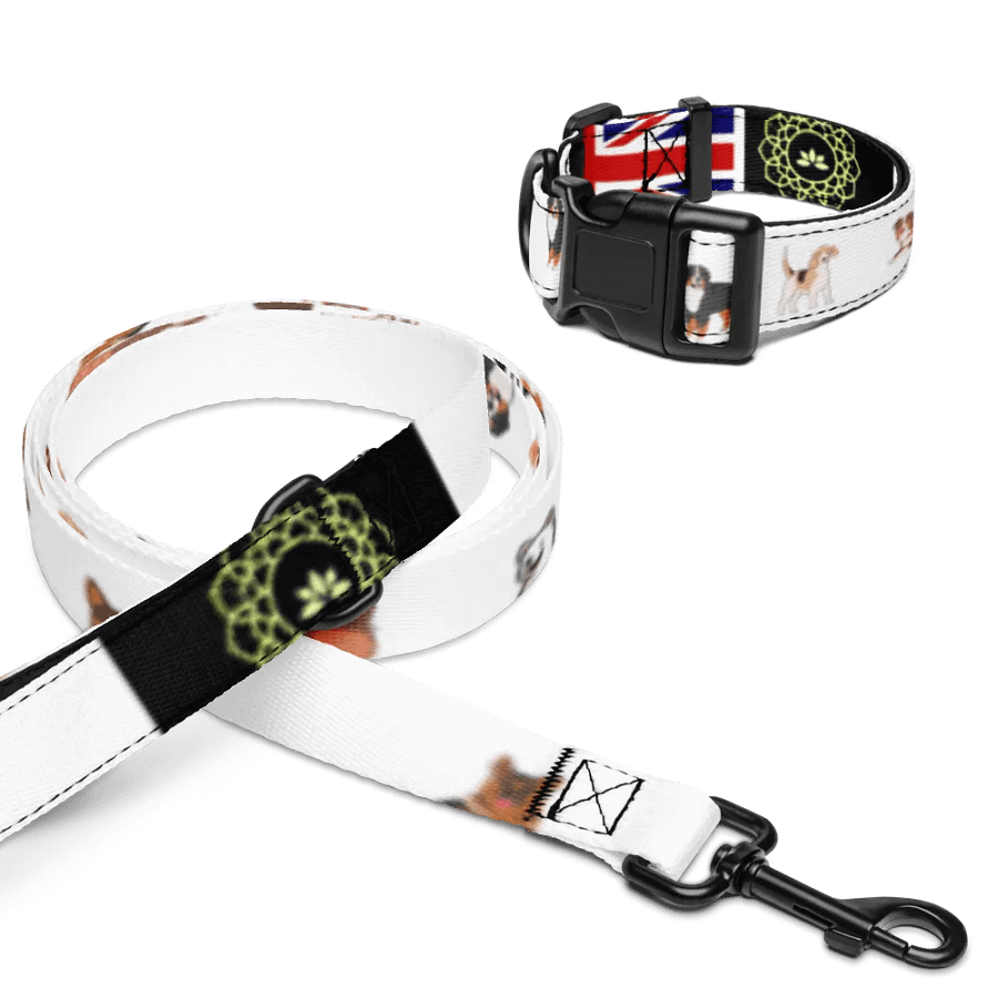 Iconic Pet Collar & Leash Set product image (16)