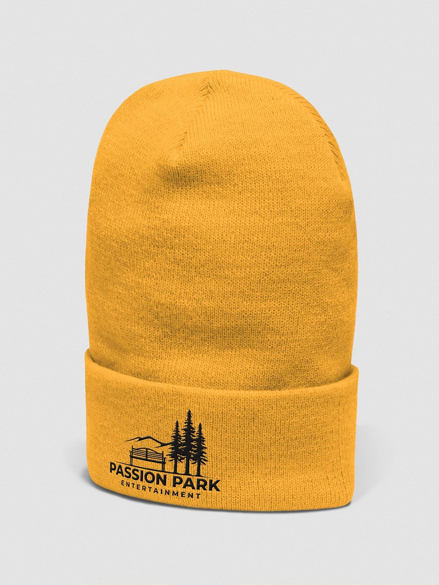 Winter Hat 2023 product image (2)