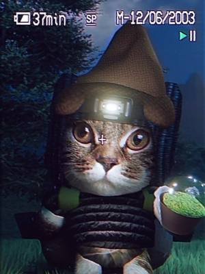 are you feeding his moss collection? #cat #blender #fyp