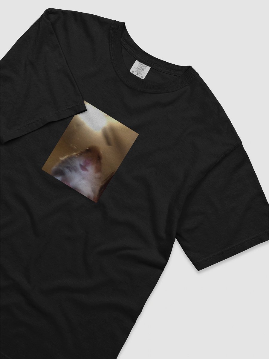 Staring Hamster shirt product image (3)