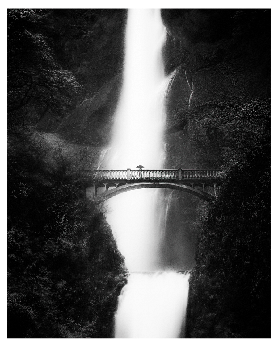 MULTNOMAH #01 product image (1)