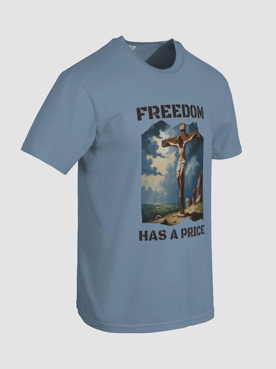 Freedom Has a Price Heavyweight Relaxed Fit T-Shirt product image (8)