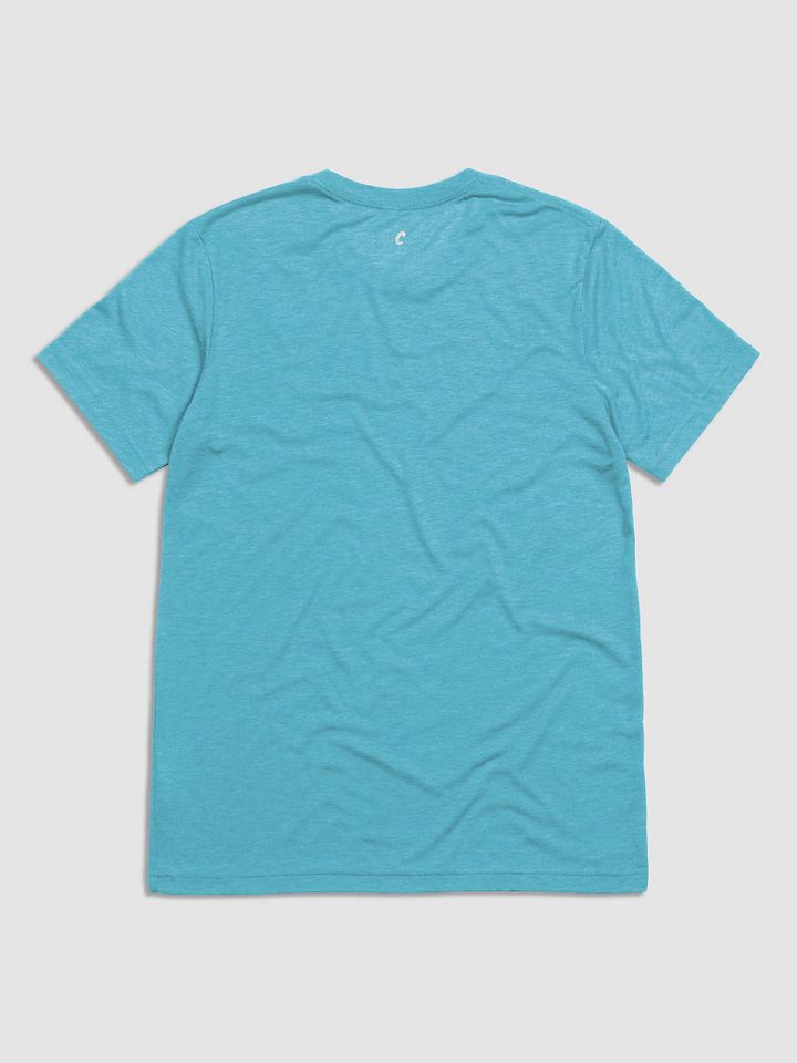 Triblend Short Sleeve T-Shirt product image (2)