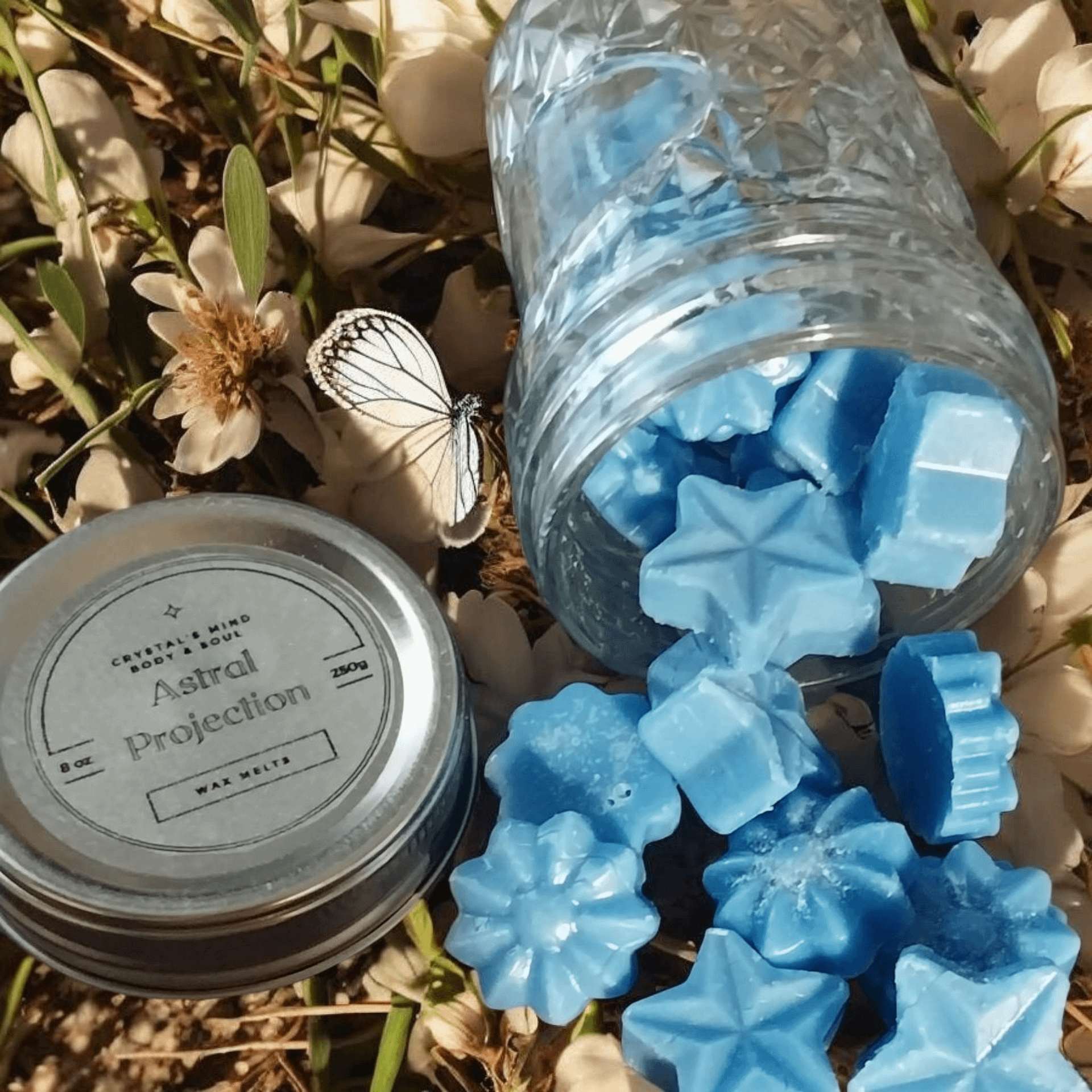 Astral Projection Wax Melts product image (1)