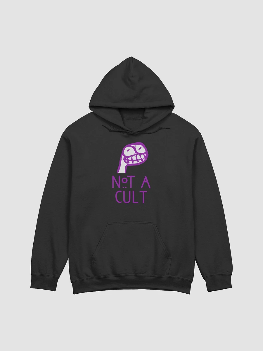 Not a Cult Hoodie product image (11)