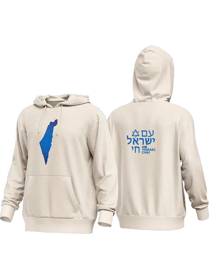 AM YISRAEL CHAI Premium Hoodie product image (1)