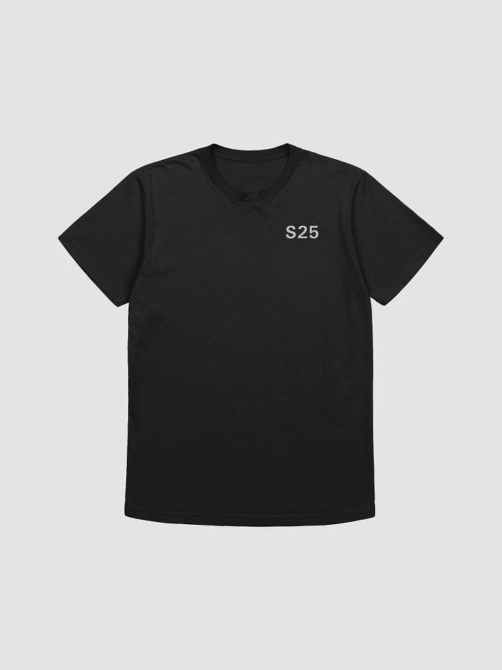 SpaceX Starship S25 Liveries Shirt product image (1)