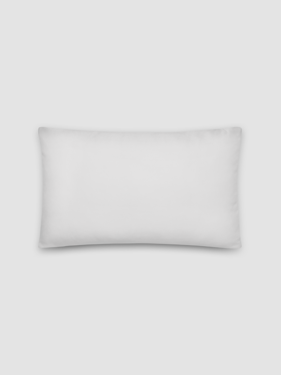 The Coordinates Pillow product image (3)