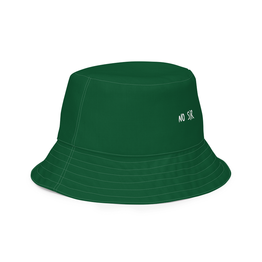 No Sir / Dip Me Daddy 💃 Reversible Hat product image (5)