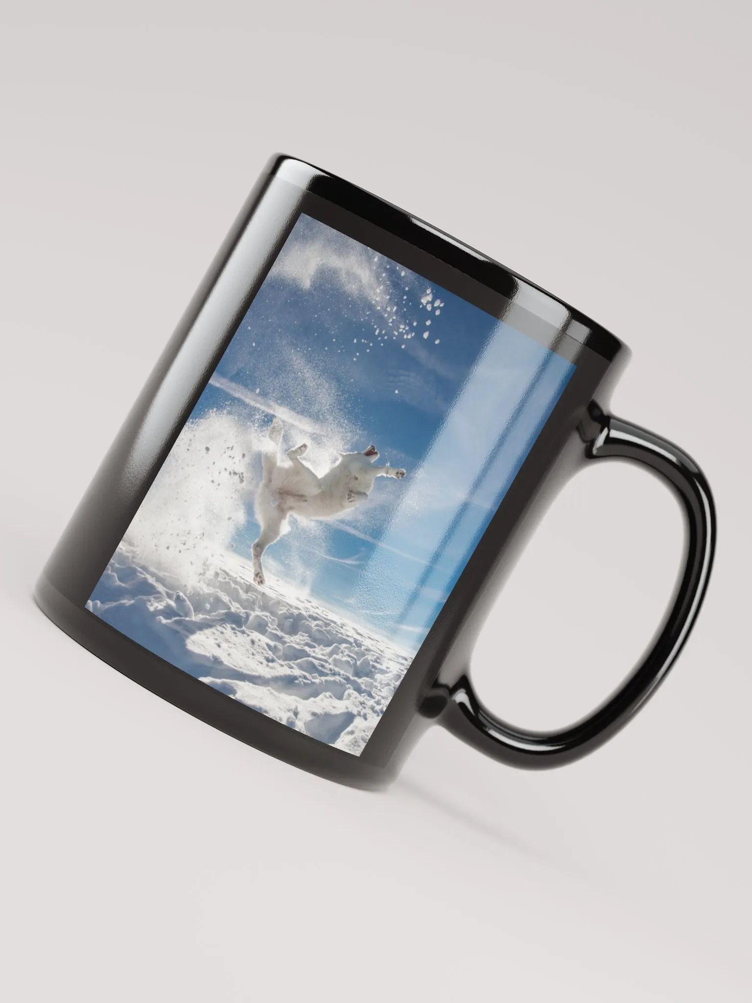 Kung-Fu Rasta product image (7)