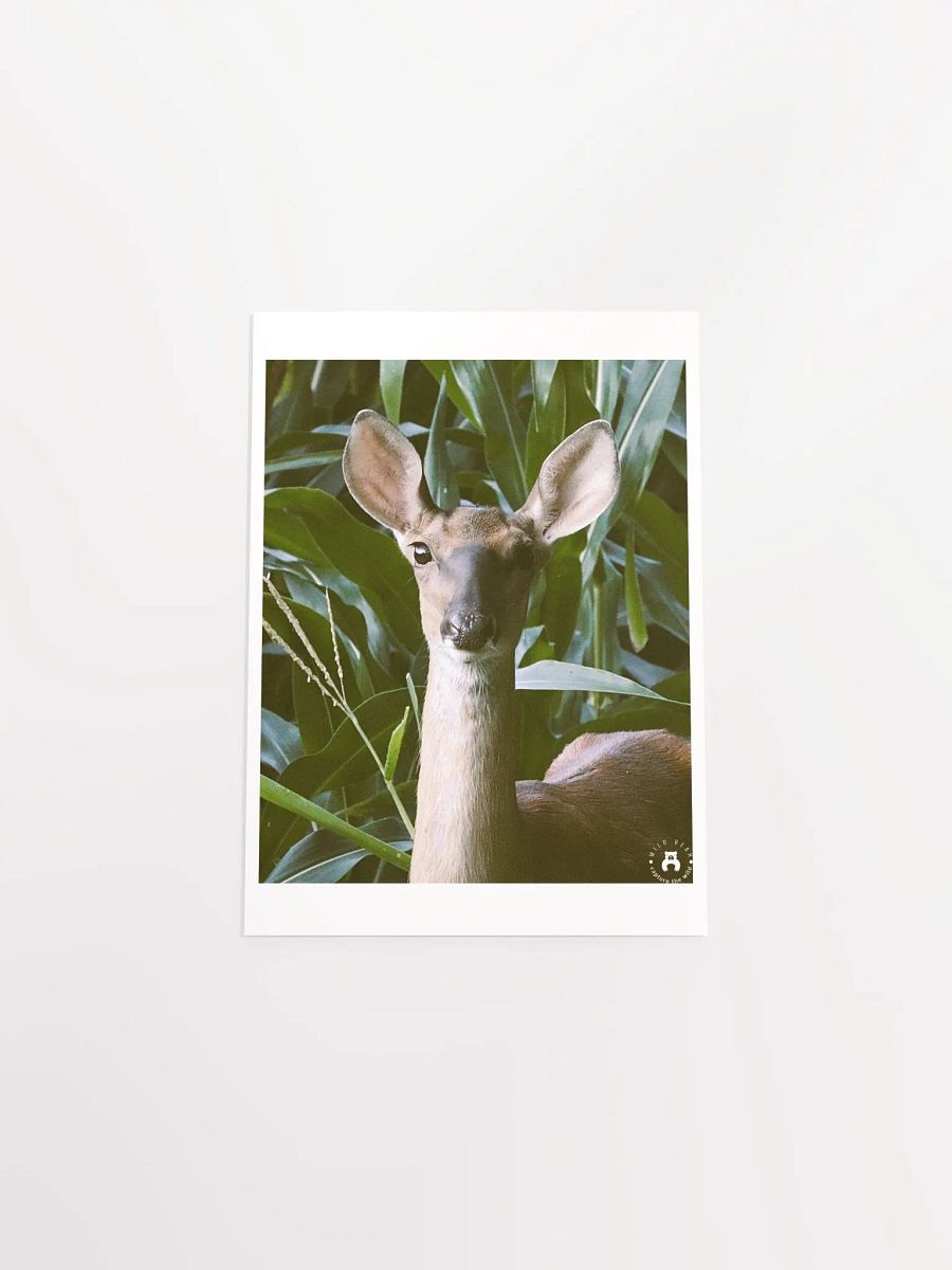 Enchanted Forest Deer Poster product image (15)