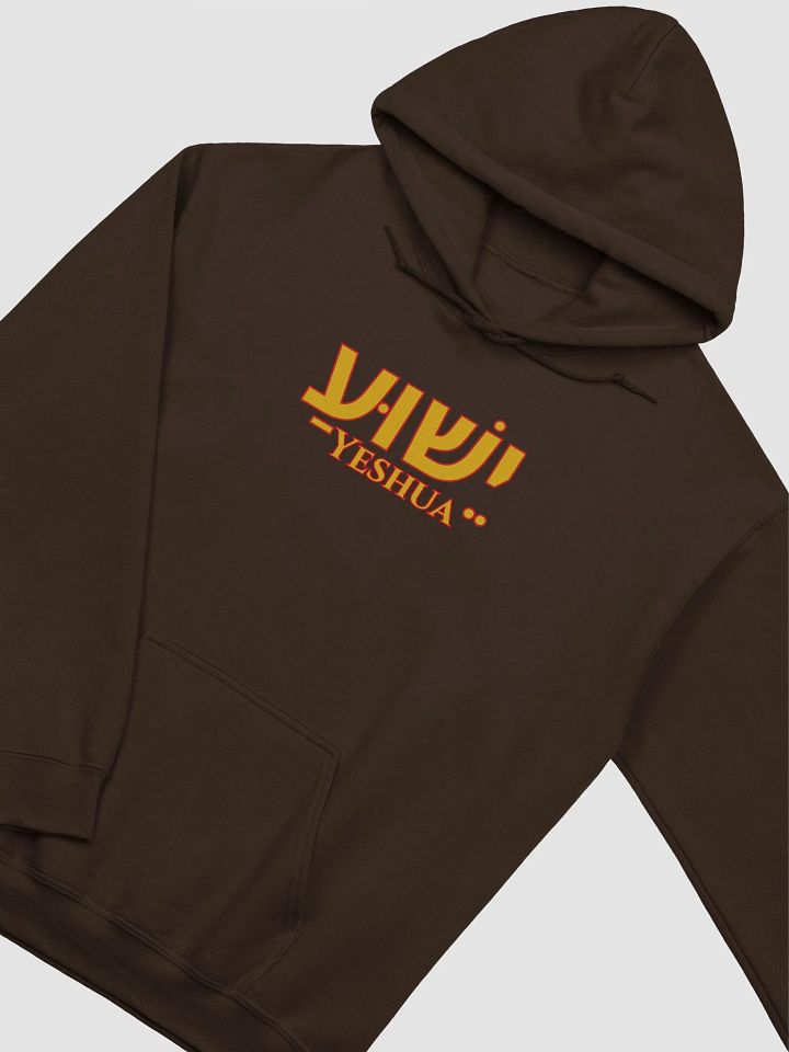 YESHUA Hebrew Script Classic Hoodie product image (22)