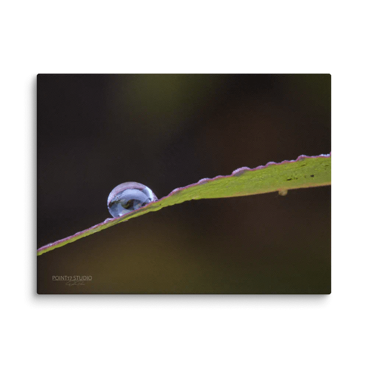 Crystal Ball #2 - Print On Canvas product image (2)