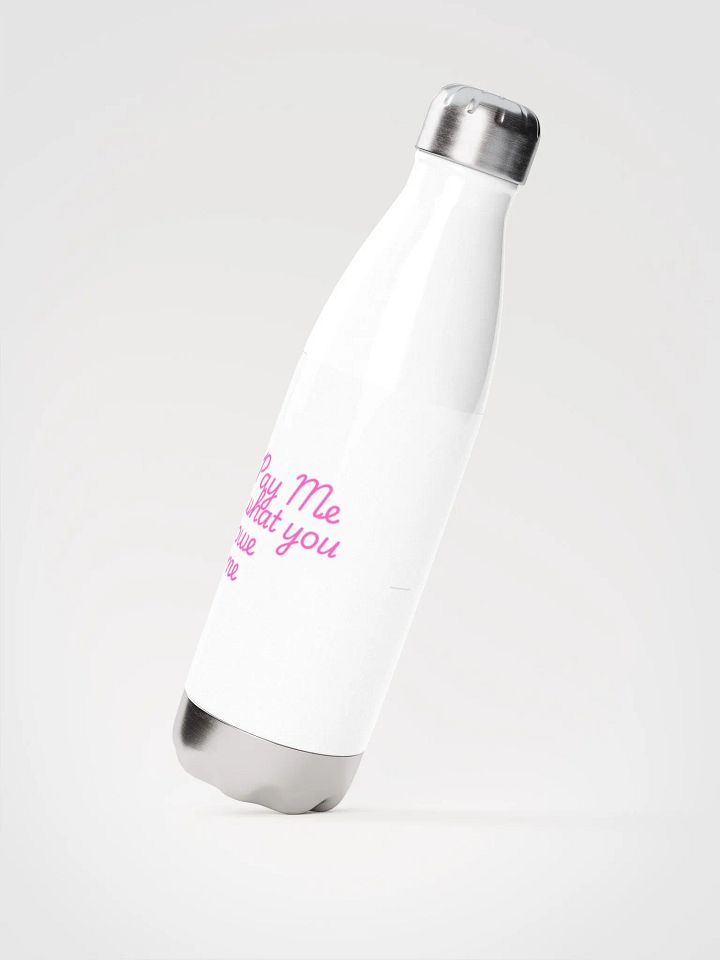 Stainless bottle product image (2)