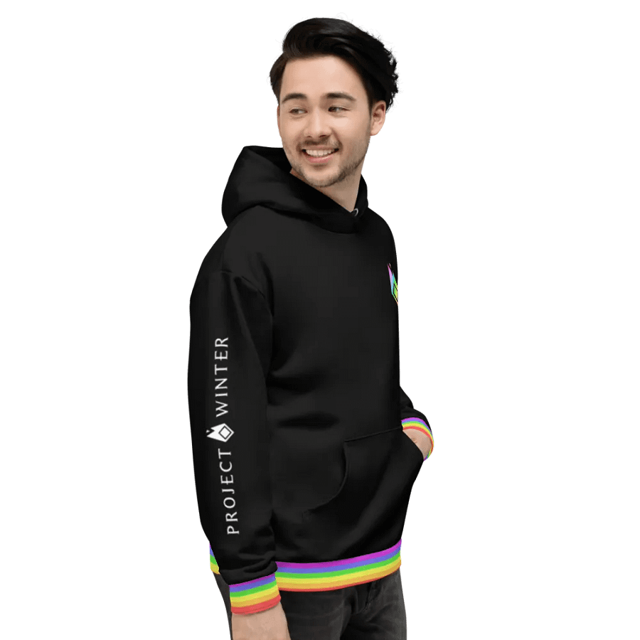 Pride Hoodie product image (3)